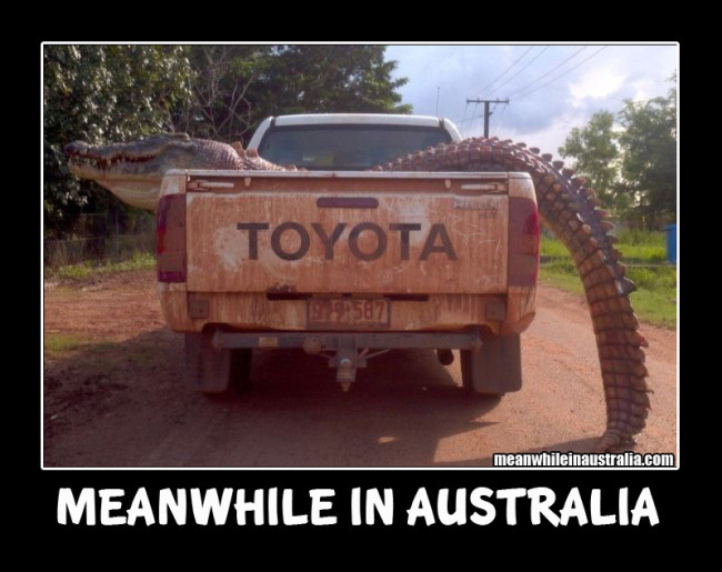 meanwhile-in-australia-00015